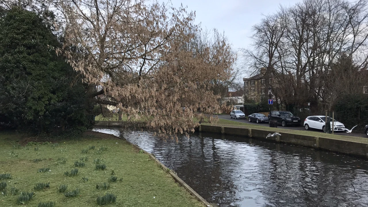 Enfield New River